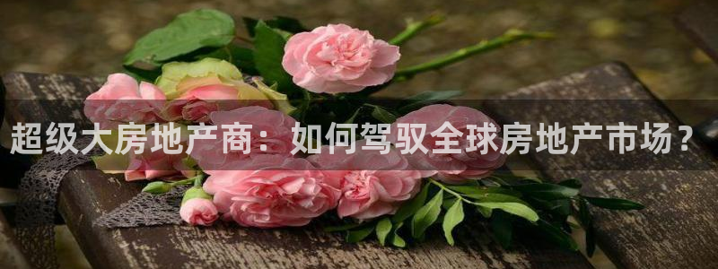和记平台网站官网