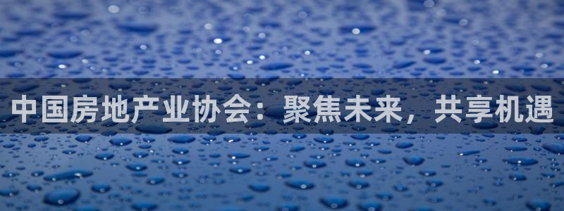 和记娱解答h88285官网：中国房地产业协会：聚焦未来，共享
