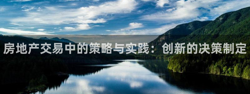 和记网址官网：房地产交易中的策略与实践：创新的决策制定