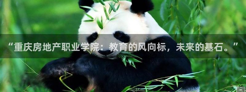 香港长江和记官网：“重庆房地产职业学院：教育的风向标，未来的