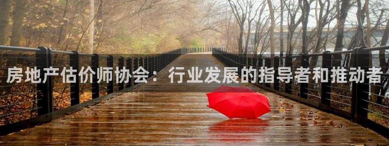 和记网址官网：房地产估价师协会：行业发展的指导者和推动者