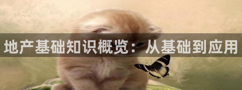 和元李记官网：地产基础知识概览：从基础到应用