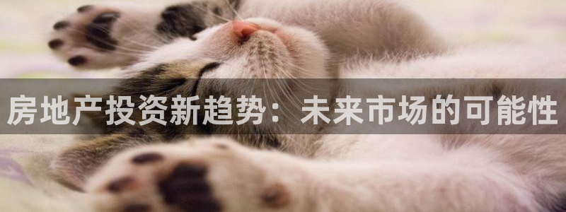 和记h88永久官网：房地产投资新趋势：未来市场的可能性
