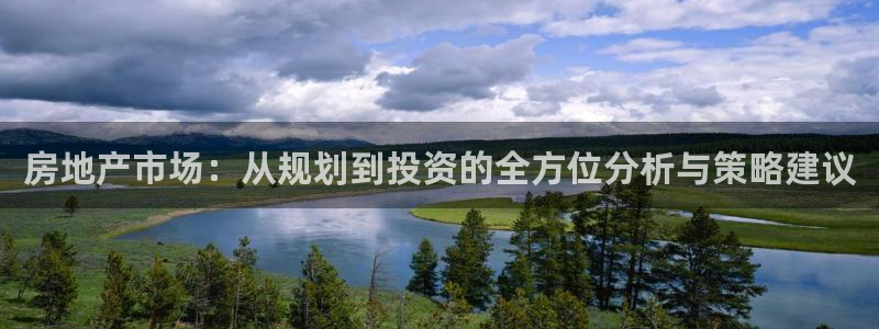 和记黄埔官网：房地产市场：从规划到投资的全方位分析与策略建议