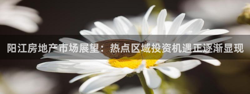 和黄记官网：阳江房地产市场展望：热点区域投资机遇正逐渐显现