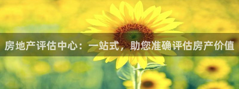 武汉和记黄埔官网：房地产评估中心：一站式，助您准确评估房产价