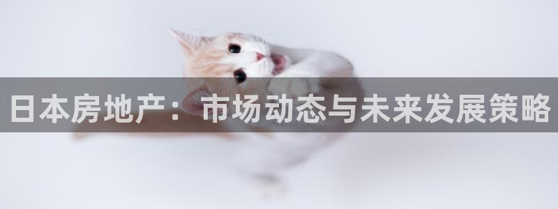和记唯一官网：日本房地产：市场动态与未来发展策略