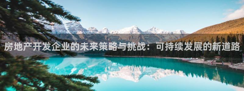 和记网站官网：房地产开发企业的未来策略与挑战：可持续发展的新