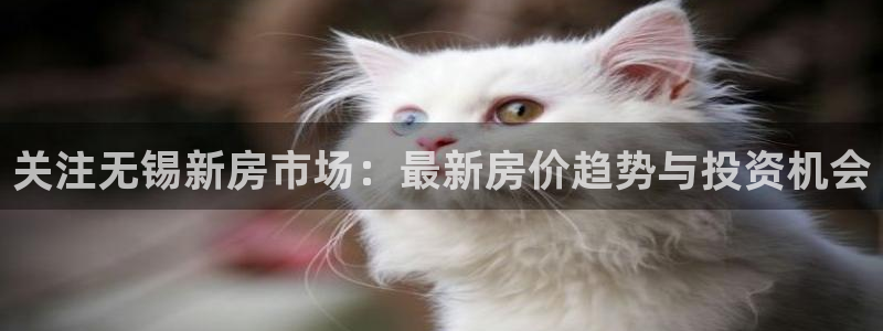 和记官网平台：关注无锡新房市场：最新房价趋势与投资机会