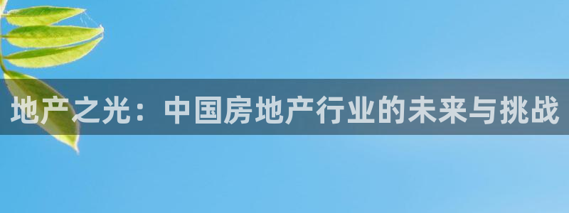 广州和德记官网：地产之光：中国房地产行业的未来与挑战