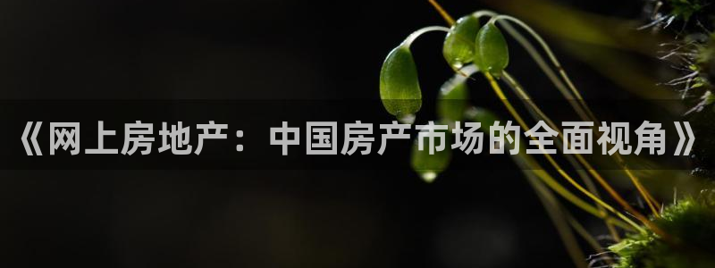 和记卡官网：《网上房地产：中国房产市场的全面视角》