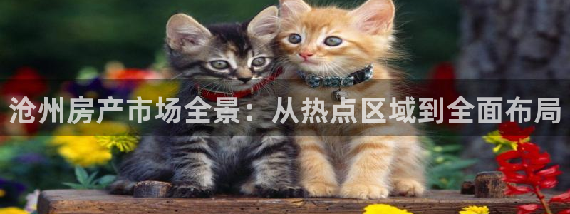 重庆和记黄埔官网：沧州房产市场全景：从热点区域到全面布局