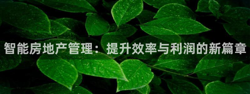 和记黄埔集团官网：智能房地产管理：提升效率与利润的新篇章