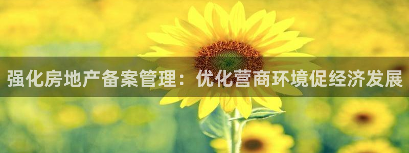 和记家家加盟官网：强化房地产备案管理：优化营商环境促经济发展