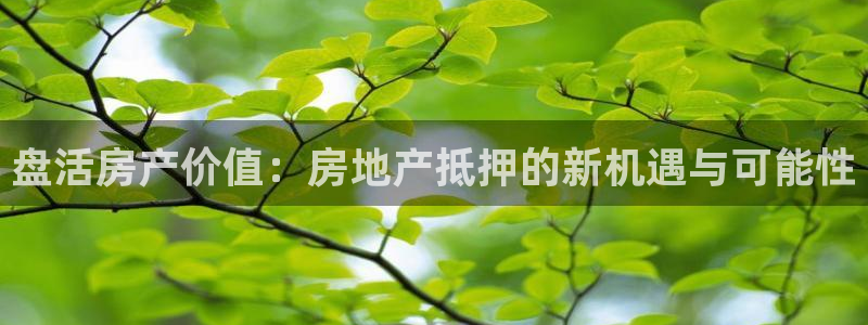 和记娱乐怡情博娱官网：盘活房产价值：房地产抵押的新机遇与可能