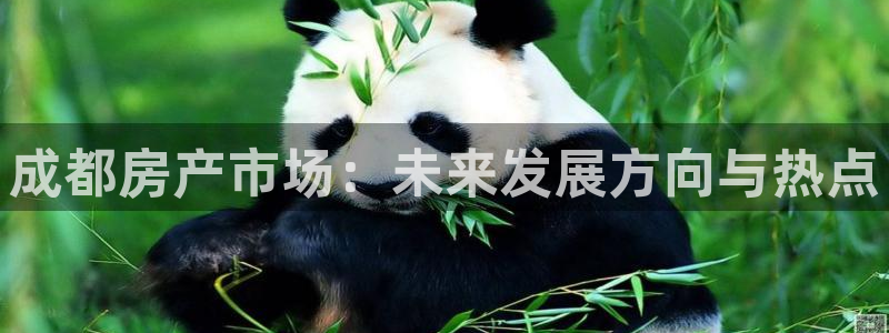 武汉和记黄埔官网：成都房产市场：未来发展方向与热点