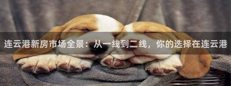 和记娱乐 官网：连云港新房市场全景：从一线到二线，你的选择在