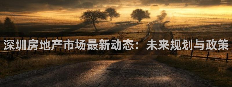 缅甸和记国际官网：深圳房地产市场最新动态：未来规划与政策