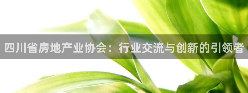 和记怡情h88官网：四川省房地产业协会：行业交流与创新的引领