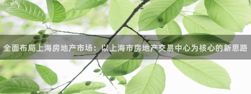 和记h188怡情官网：全面布局上海房地产市场：以上海市房地产