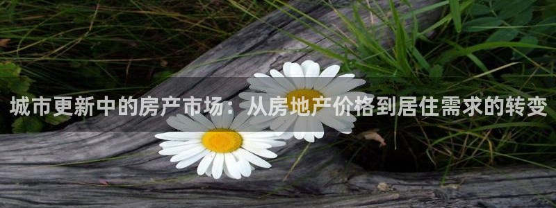 和记国际平台官网：城市更新中的房产市场：从房地产价格到居住需