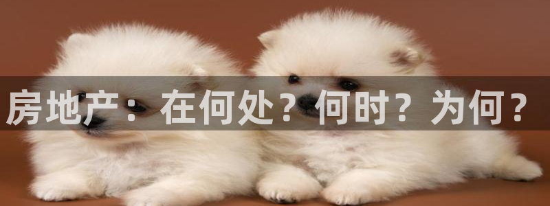和黄记官网：房地产：在何处？何时？为何？