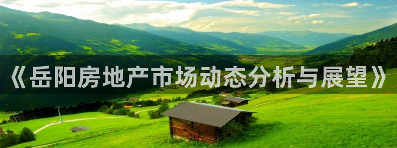 和记娱官网h88285怡情：《岳阳房地产市场动态分析与展望》