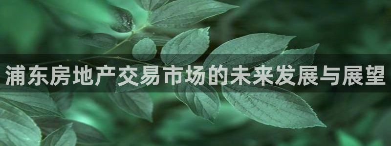 和记官网客服app：浦东房地产交易市场的未来发展与展望