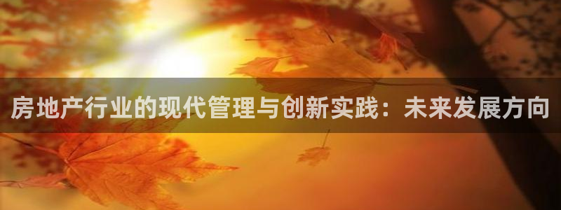 和记家家加盟官网：房地产行业的现代管理与创新实践：未来发展方