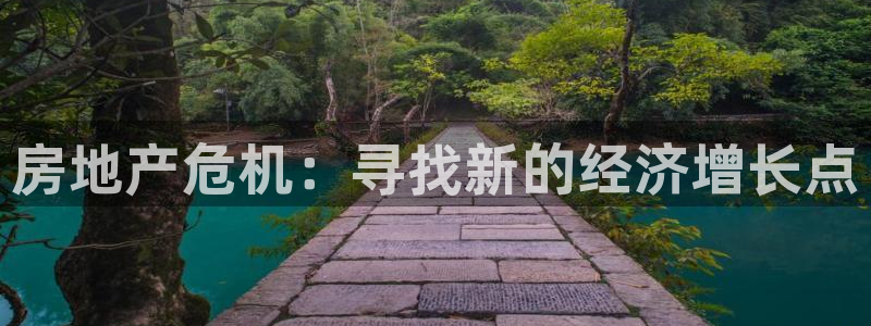 和记电讯香港官网：房地产危机：寻找新的经济增长点