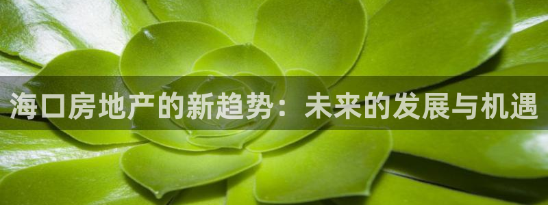 和记体育买球官网：海口房地产的新趋势：未来的发展与机遇