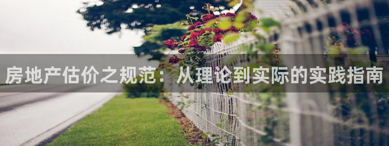 和记电讯APP官网充值：房地产估价之规范：从理论到实际的实践