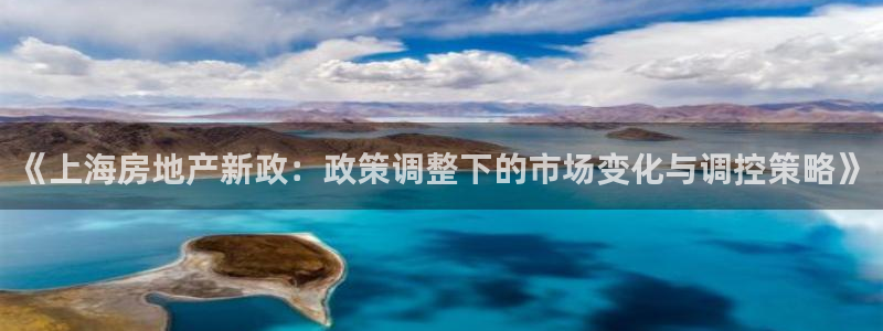 和记手游官网：《上海房地产新政：政策调整下的市场变化与调控策