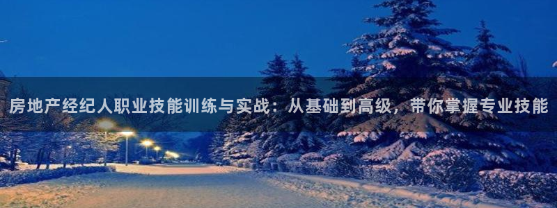 香港长江和记官网：房地产经纪人职业技能训练与实战：从基础到高
