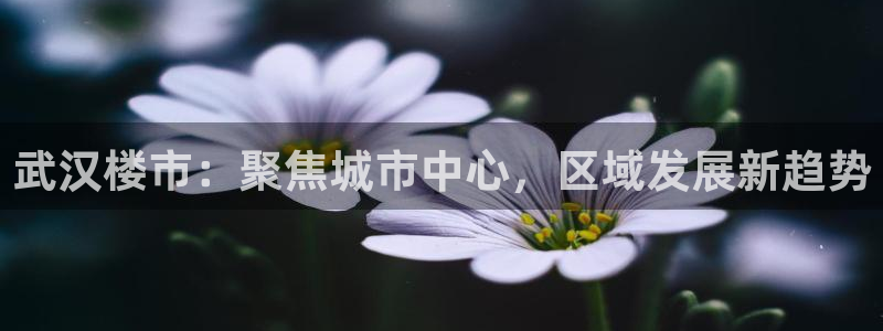 和记官网是一个什么平台：武汉楼市：聚焦城市中心，区域发展新趋