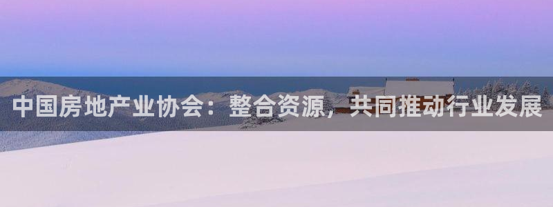 缅甸和记官网：中国房地产业协会：整合资源，共同推动行业发展