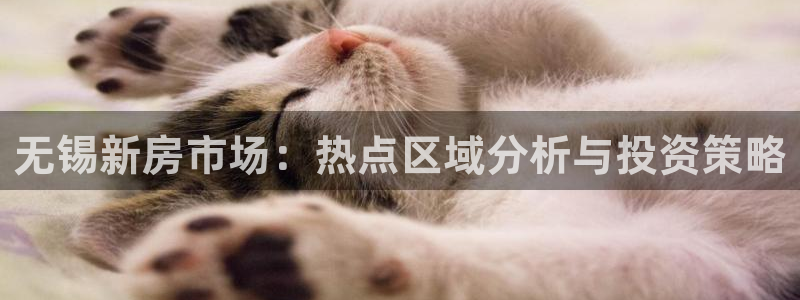 和记官网手机版下载