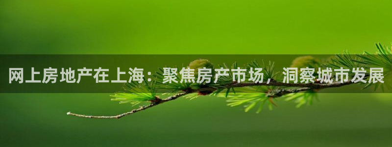 和记官网开户 银博网：网上房地产在上海：聚焦房产市场，洞察城
