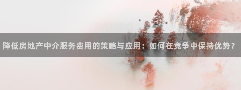 和记3电讯官网：降低房地产中介服务费用的策略与应用：如何在竞