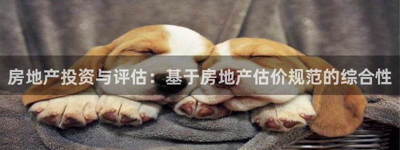 和记增值官网：房地产投资与评估：基于房地产估价规范的综合性