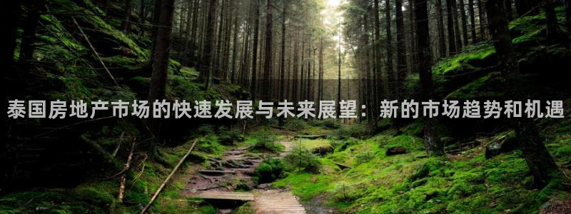 和记h88官网：泰国房地产市场的快速发展与未来展望：新的市场