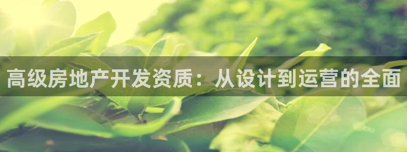 成都和记公司官网：高级房地产开发资质：从设计到运营的全面