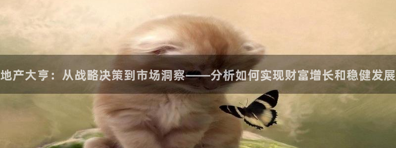 和记网址官网：地产大亨：从战略决策到市场洞察——分析如何实现