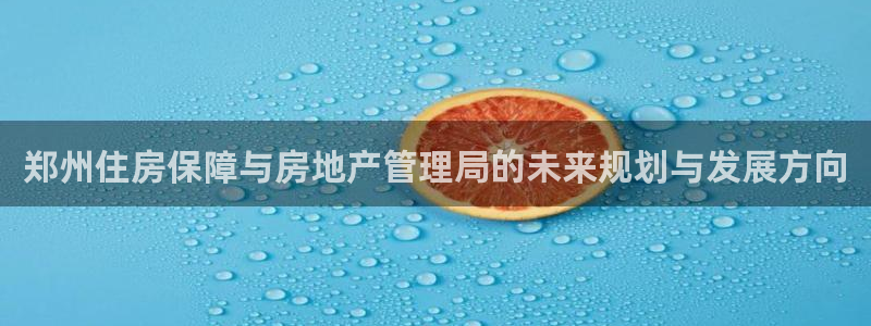 和记门店官网：郑州住房保障与房地产管理局的未来规划与发展方向