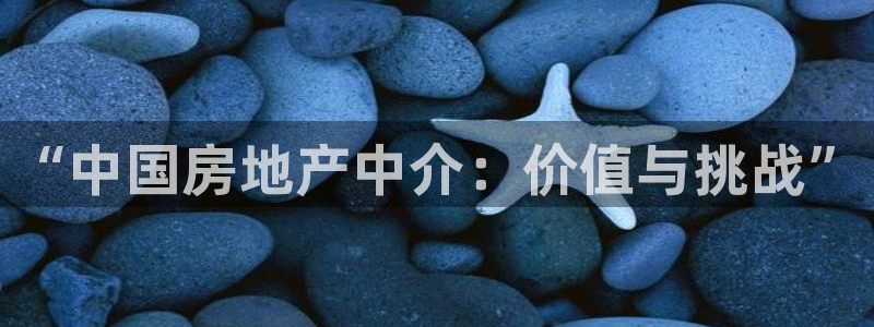和帆记加盟官网：“中国房地产中介：价值与挑战”