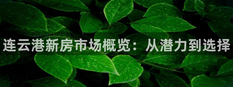 和记万佳官网：连云港新房市场概览：从潜力到选择
