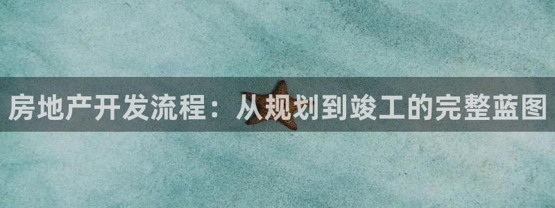 和记门店官网：房地产开发流程：从规划到竣工的完整蓝图