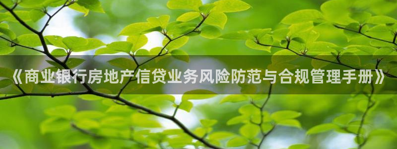 和记官网手机版下载：《商业银行房地产信贷业务风险防范与合规管