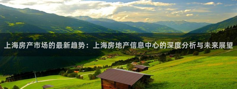 和记黄埔m 官网：上海房产市场的最新趋势：上海房地产信息中心