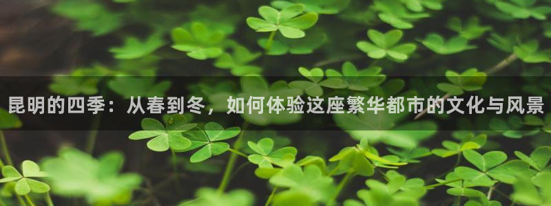 和记中国官网